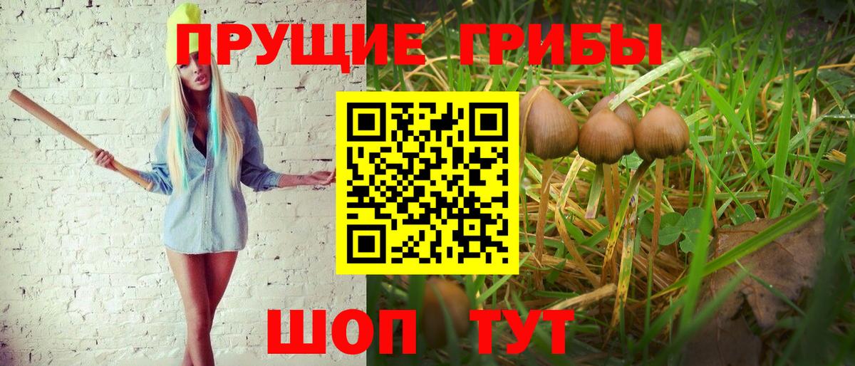 Галлюциногенные грибы GOLDEN TEACHER Канаш