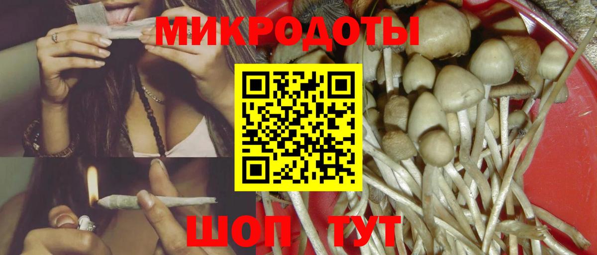 Галлюциногенные грибы мицелий  Вход с VPN  Канаш 